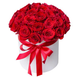 קופסה 51 ורדים אדומים