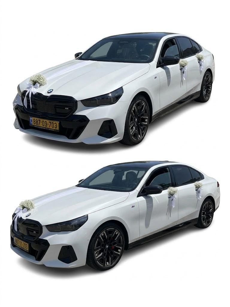 קישות רכב עם גיבסניות